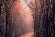 安全配資網(wǎng)站:實(shí)盤配資平臺(tái)APP-突發(fā)！阿里放大招？主力盯上這些概念股(表格)